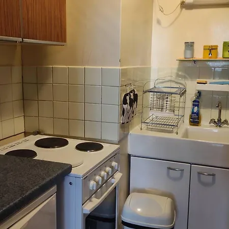 Apartamento Confortable Au Pied Des Pistes Avec Terrasse - Fr-1-804-55