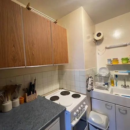 Confortable Au Pied Des Pistes Avec Terrasse - Fr-1-804-55